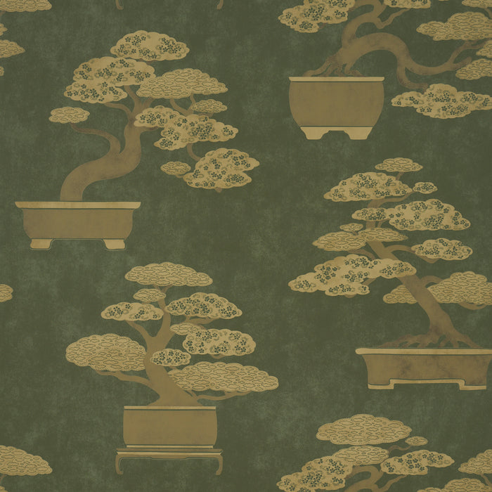 Schumacher Bonsai Tree Olive Wallpaper Sample 5018000