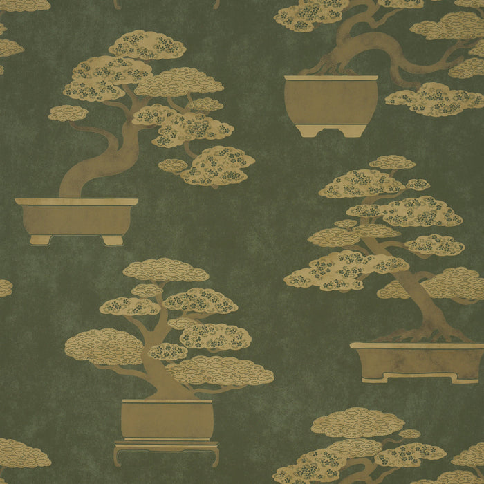 Schumacher Bonsai Tree Olive Wallpaper Sample 5018000