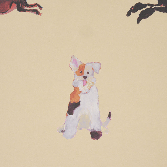 Schumacher Dogs Butter Wallpaper 5018080