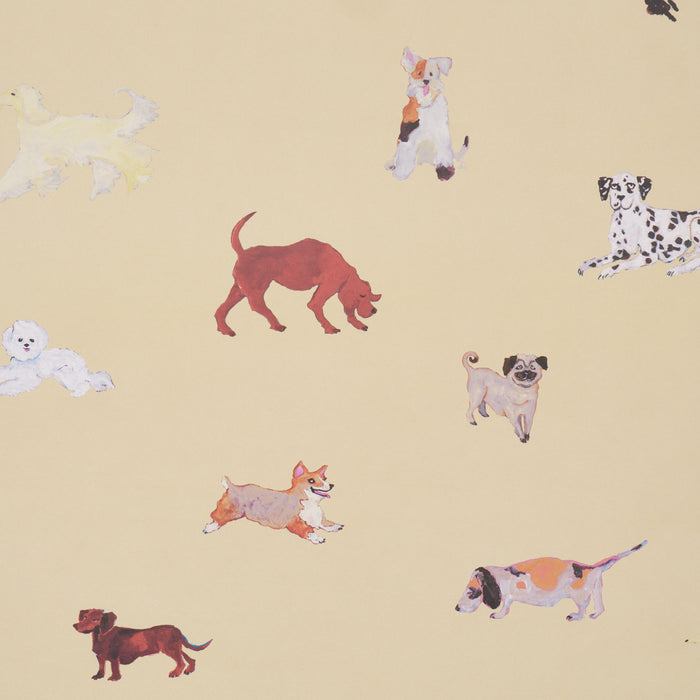 Schumacher Dogs Butter Wallpaper 5018080