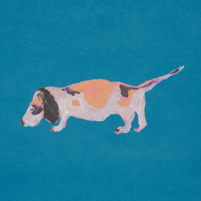 Schumacher Dogs Cerulean Wallpaper 5018081