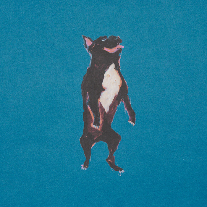 Schumacher Dogs Cerulean Wallpaper 5018081