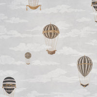Schumacher Up, Up And Away!  Wallpaper 5018130