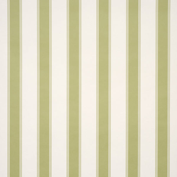 Schumacher Rafe Stripe Leaf Wallpaper Sample 5018211
