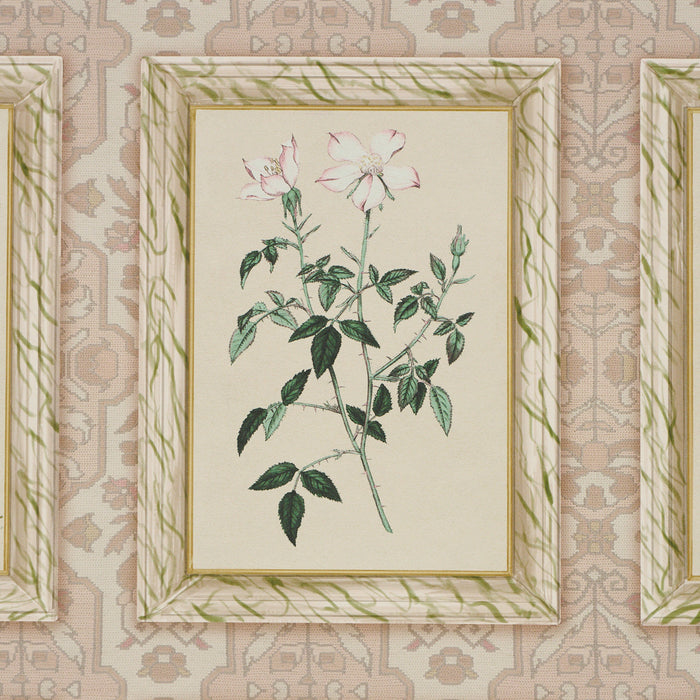 Schumacher Garden'S Trust Blushed Oyster Wallpaper 5018310