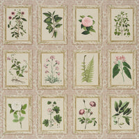 Schumacher Garden'S Trust Blushed Oyster Wallpaper 5018310