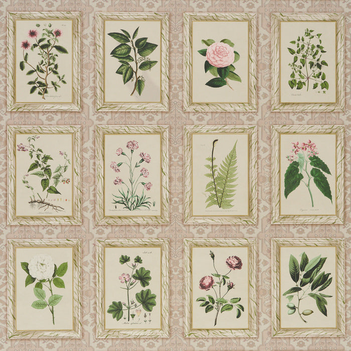Schumacher Garden'S Trust Blushed Oyster Wallpaper 5018310