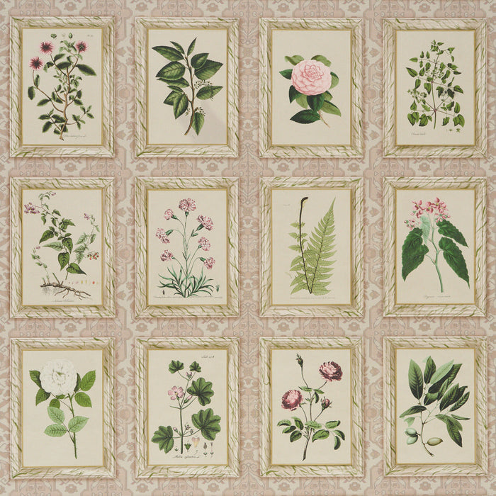 Schumacher Garden'S Trust Blushed Oyster Wallpaper Sample 5018310