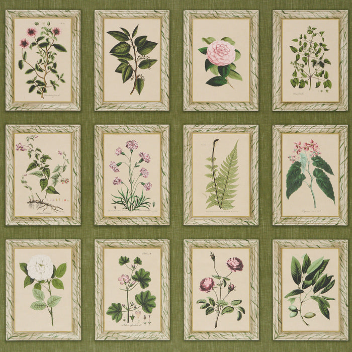 Schumacher Garden'S Trust English Green Wallpaper Sample 5018311