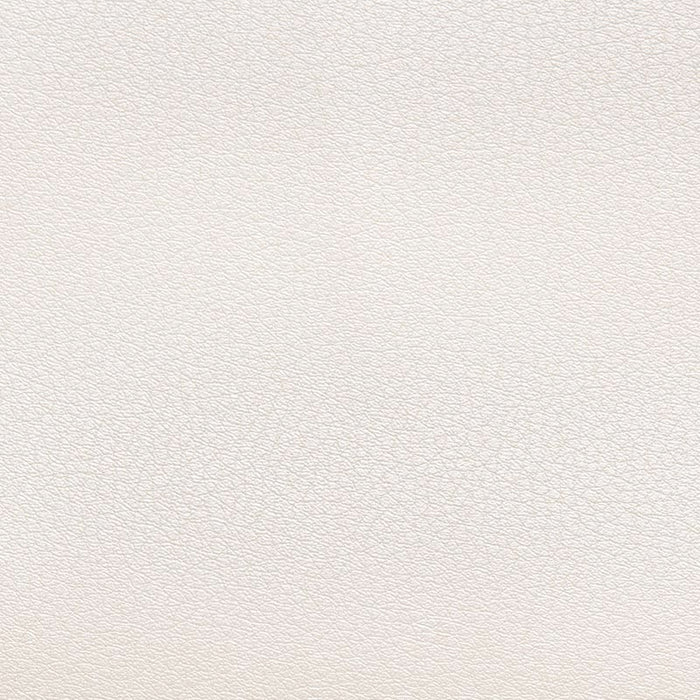 Holly Hunt Great Plains Nirvana Sea Pearl Fabric Sample 512/01