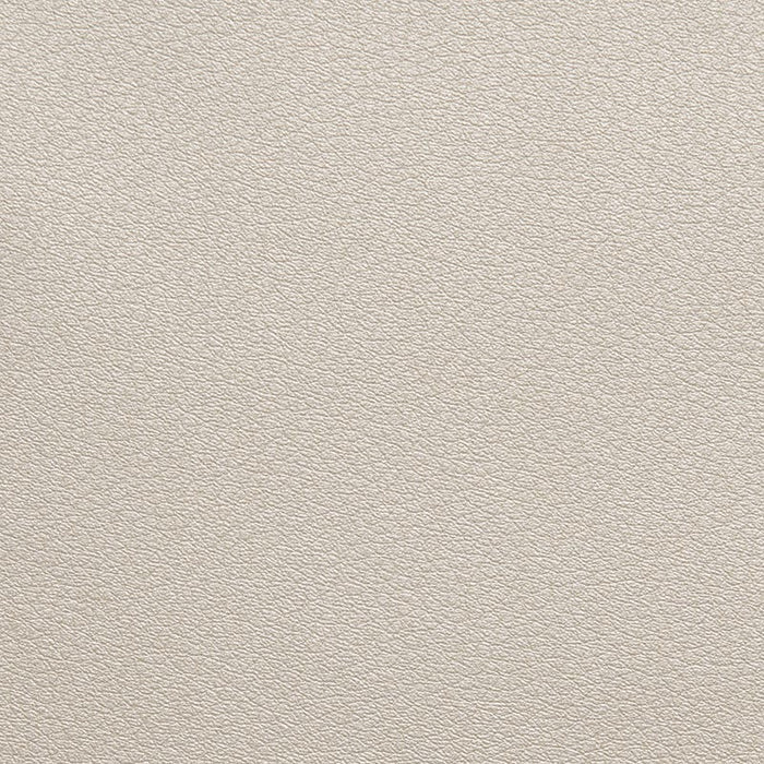 Holly Hunt Great Plains Nirvana Electrum Fabric Sample 512/02