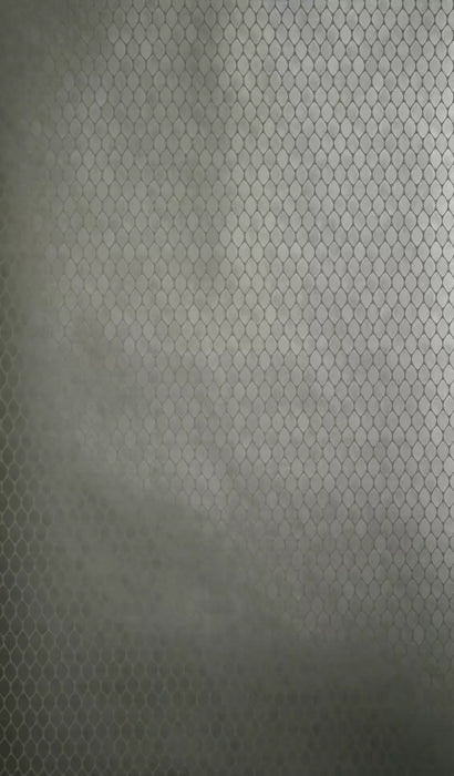 Nina Campbell Gilty 02 Wallpaper Sample NCW4023-02