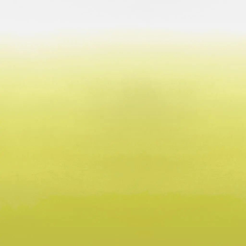 Designers Guild Saraille Panel (3m) 3 Sample Sample P600-03