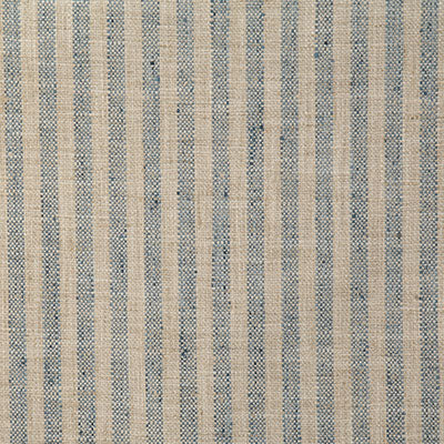 Pindler Dritton Haze Fabric 5310