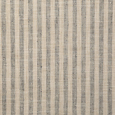 Pindler Dritton Shale Fabric 5310
