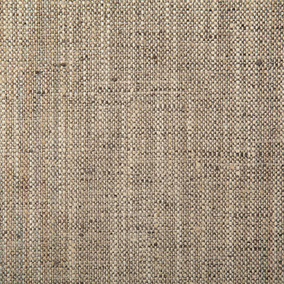 Pindler Drina Pebble Fabric 5313