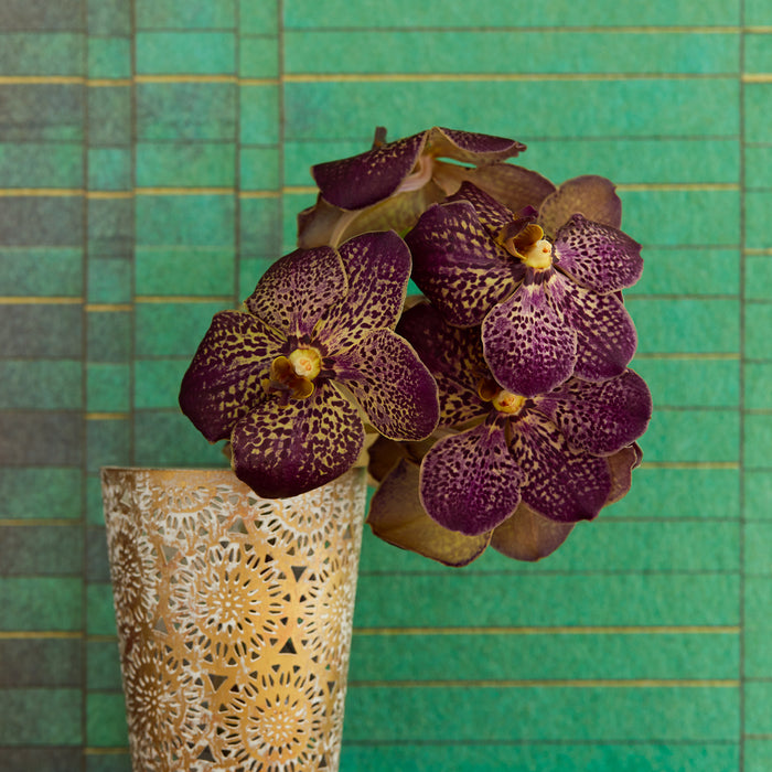 JF Fabrics 5315 77 Wallpaper Sample 7575077