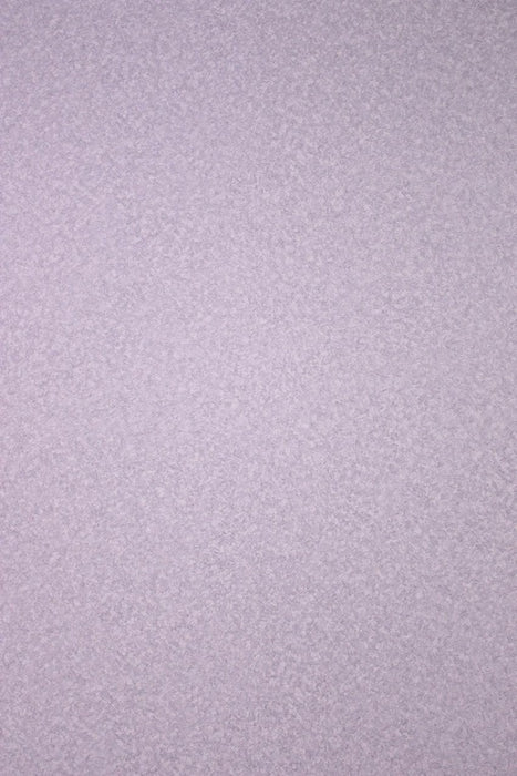 Osborne & Little Corteccia 3 Sample Sample W6190-03