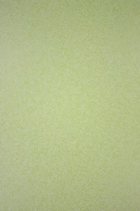 Osborne & Little Corteccia 14 Wallpaper Sample W6190-14
