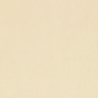 Schumacher Toscana Chamois Fabric 54374