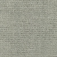 Schumacher Delacroix Silk Ottoman Nickel Fabric 54965