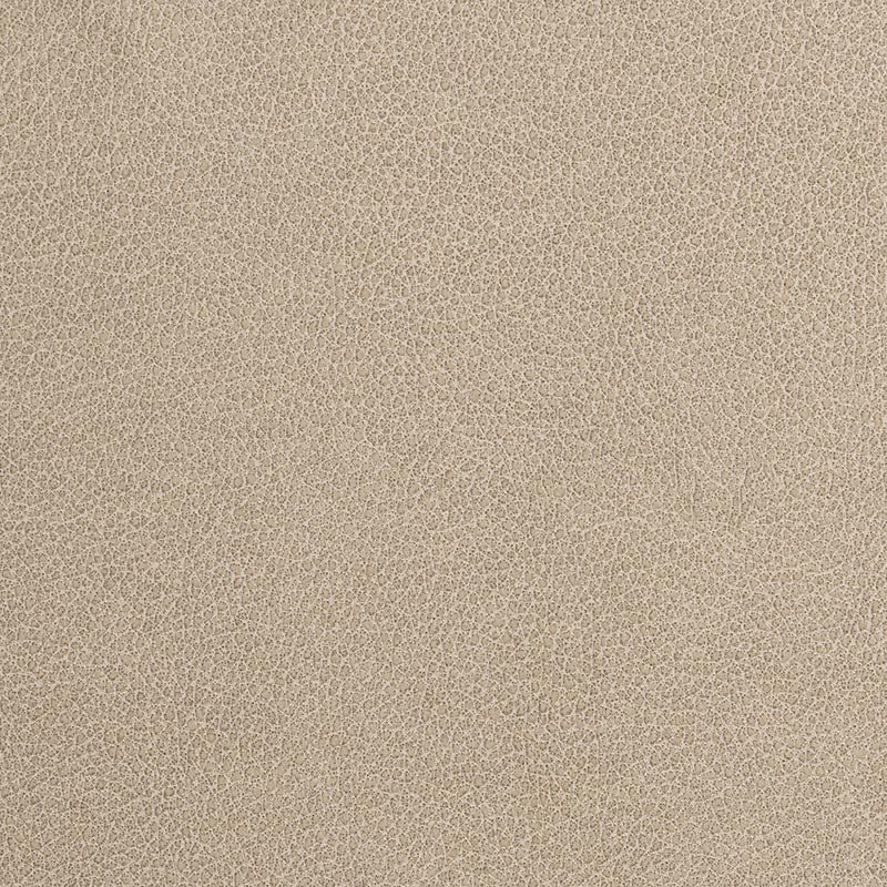 Holly Hunt Great Plains Eventide Bisque Fabric 550/01