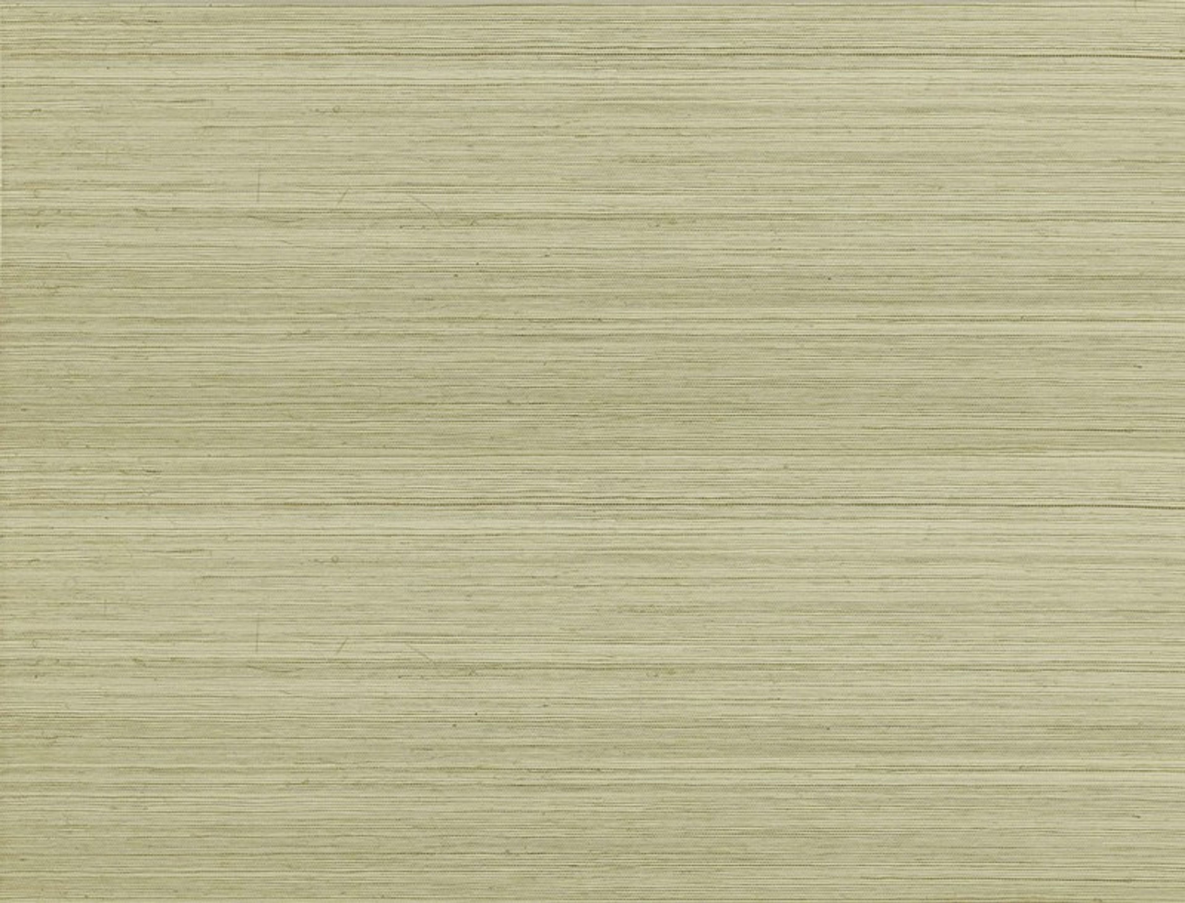 Jim Thompson Strie Sisal  Sahara Wallpaper Sample JT021039001