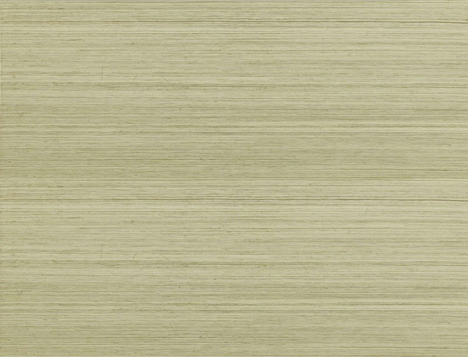 Jim Thompson Strie Sisal  Sahara Wallpaper Sample JT021039001