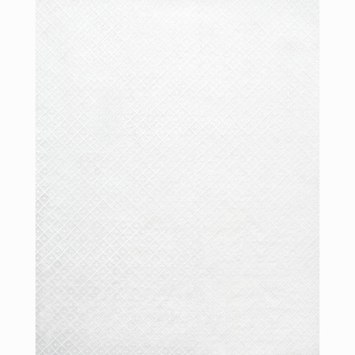 Schumacher Isabella Sheer Embroidery Ivory Fabric 55550