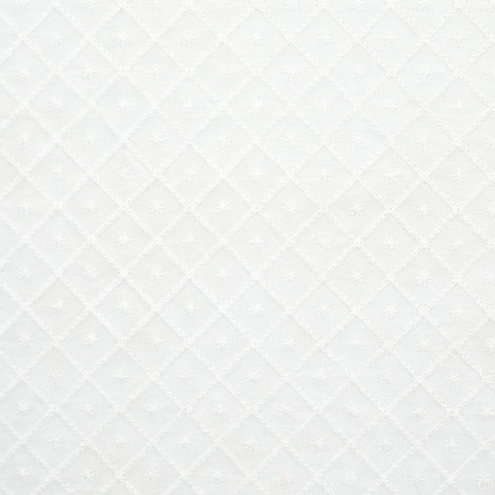 Schumacher Isabella Sheer Embroidery Ivory Fabric Sample 55550
