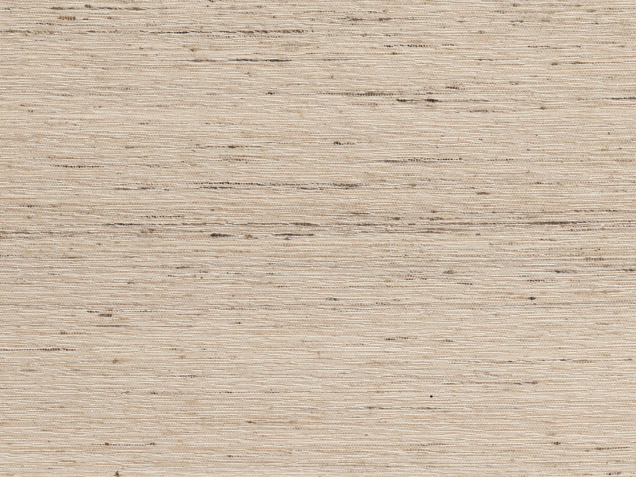 Pierre Frey Catalina Naturel Wallpaper Sample FP649001
