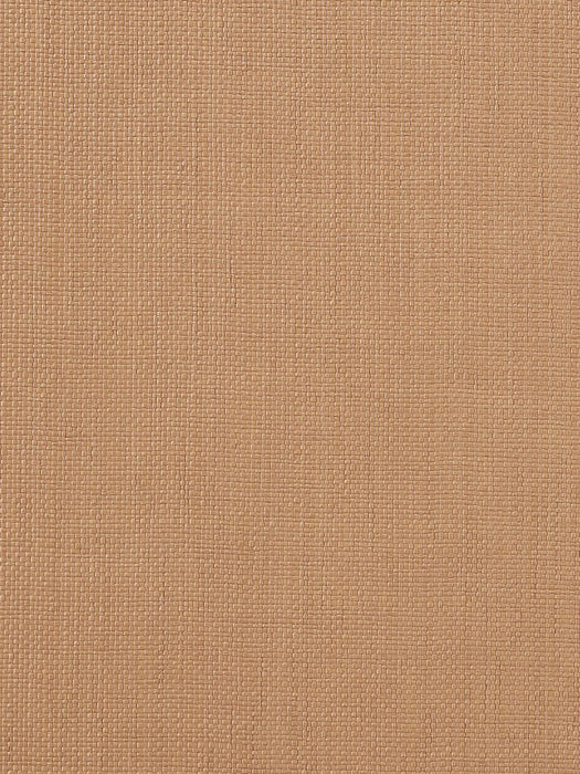 Pierre Frey Marius Wallpaper Sample FP865004