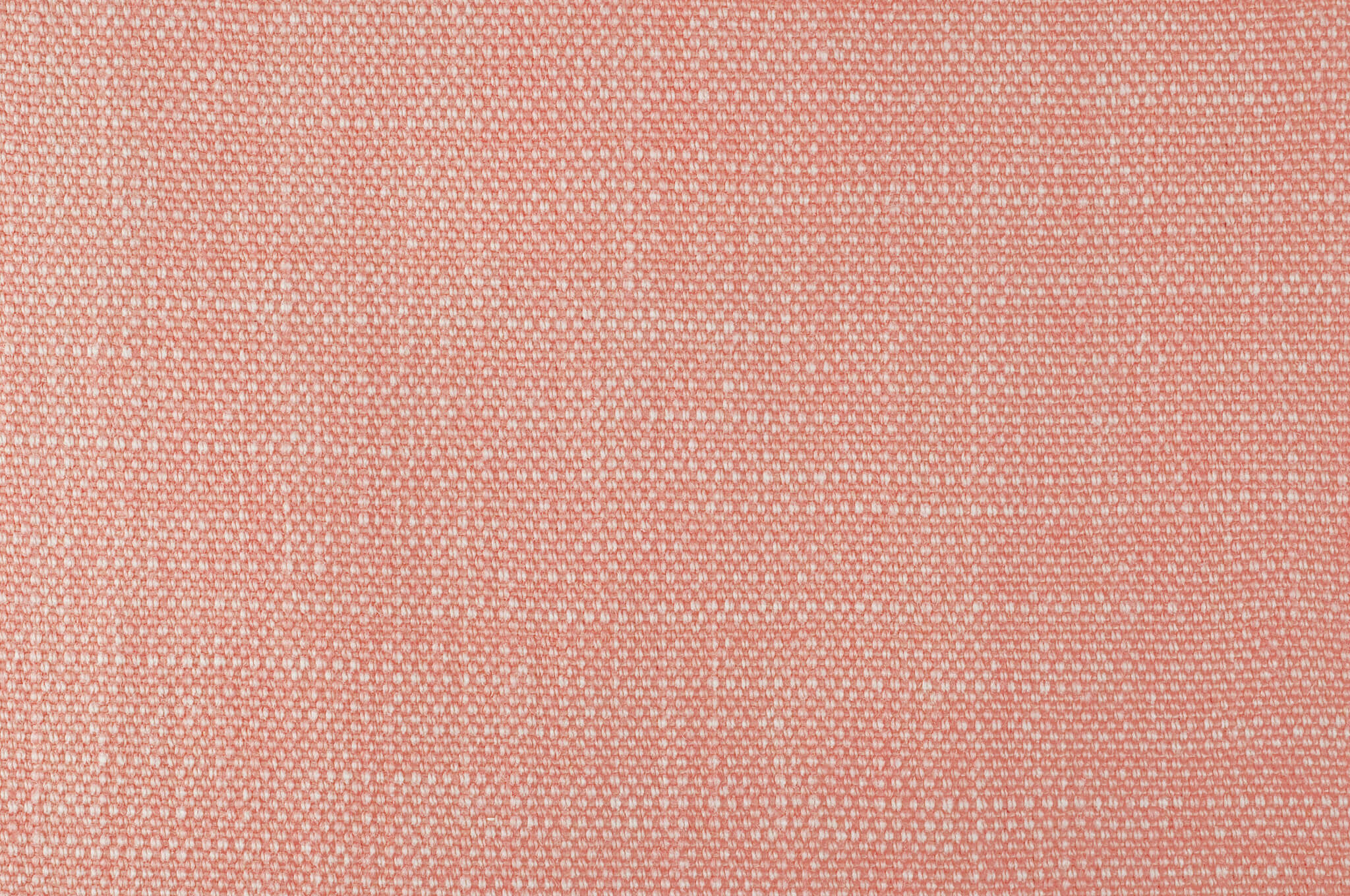 Pierre Frey Shabby Impatience Fabric Sample F2484021