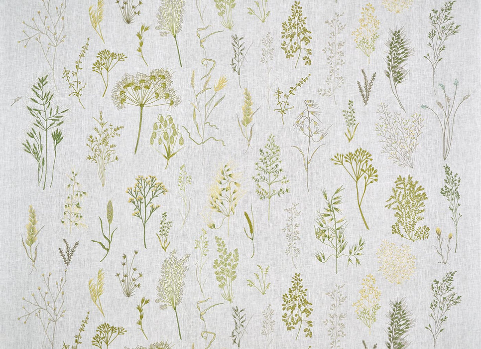 Pierre Frey Les graminees broderie Prairie Fabric Sample F3932001