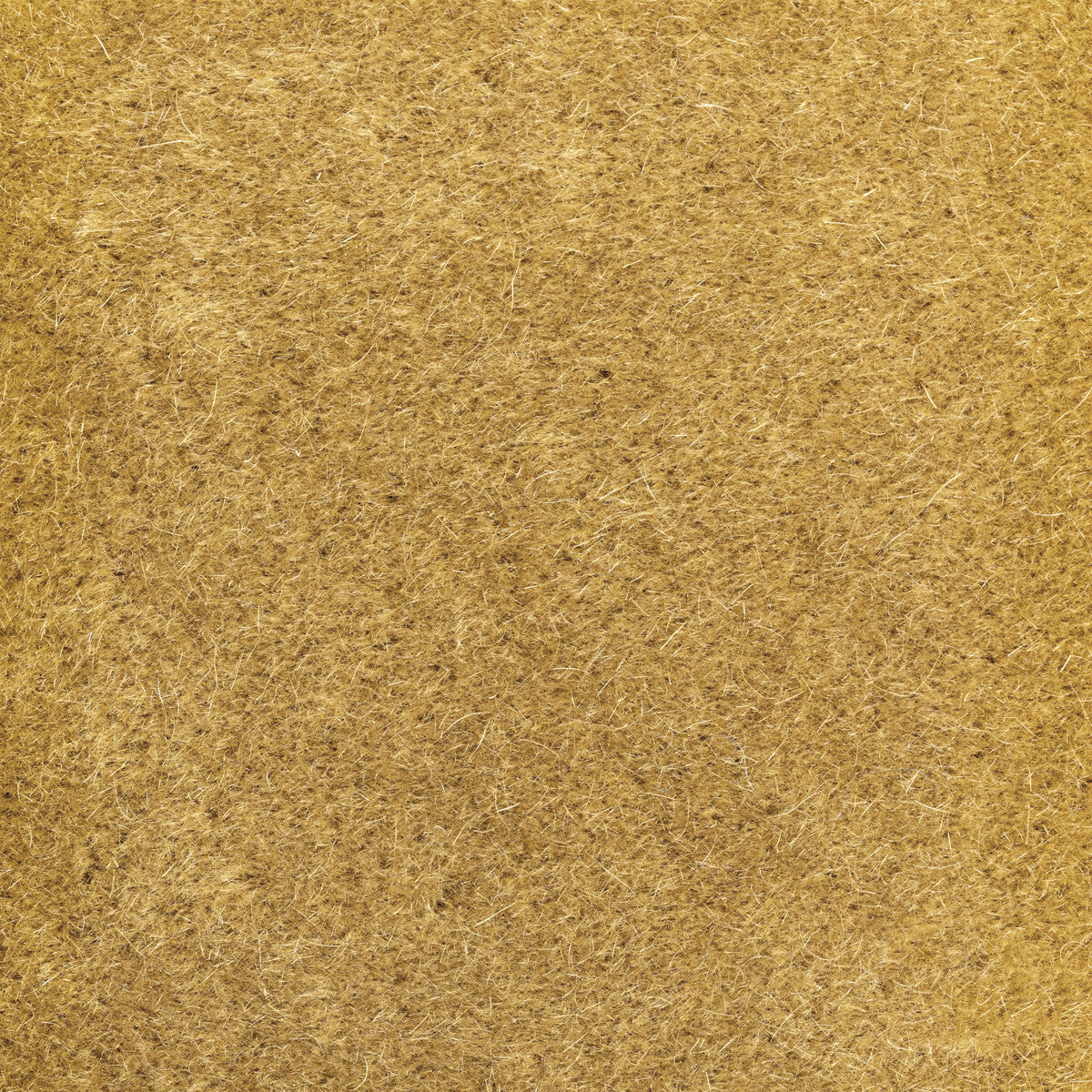 Donghia Versa Honey Fabric Sample 6021102.1614.0