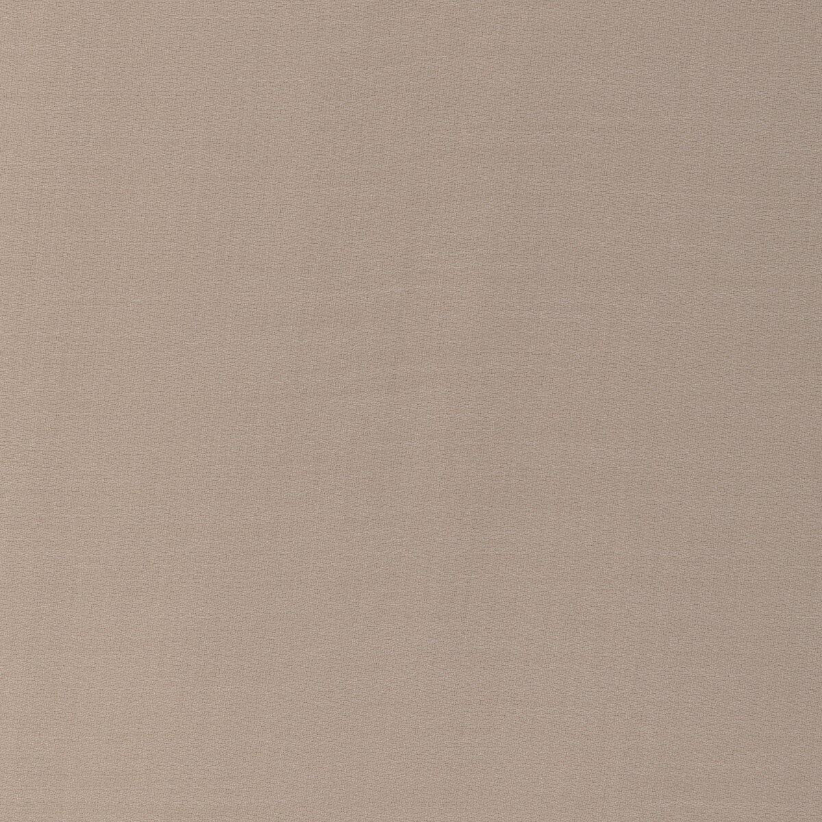 Donghia Sheepish Camel Fabric Sample 6022145.16.0