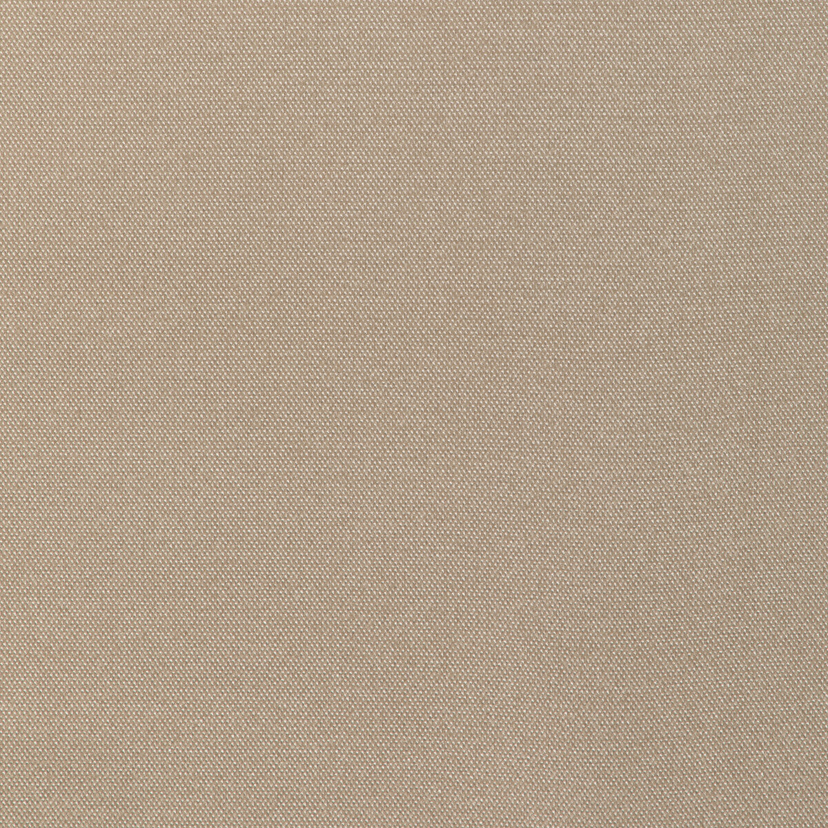 Donghia Formal Affair Wheat Fabric Sample 6022146.16.0