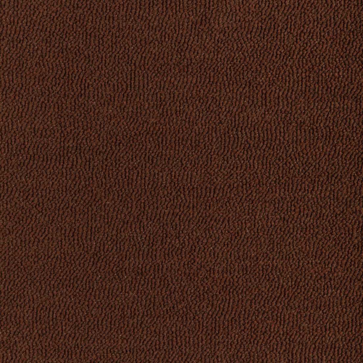 Donghia Vortex Boucle Canyon Fabric Sample 6022154.6.0