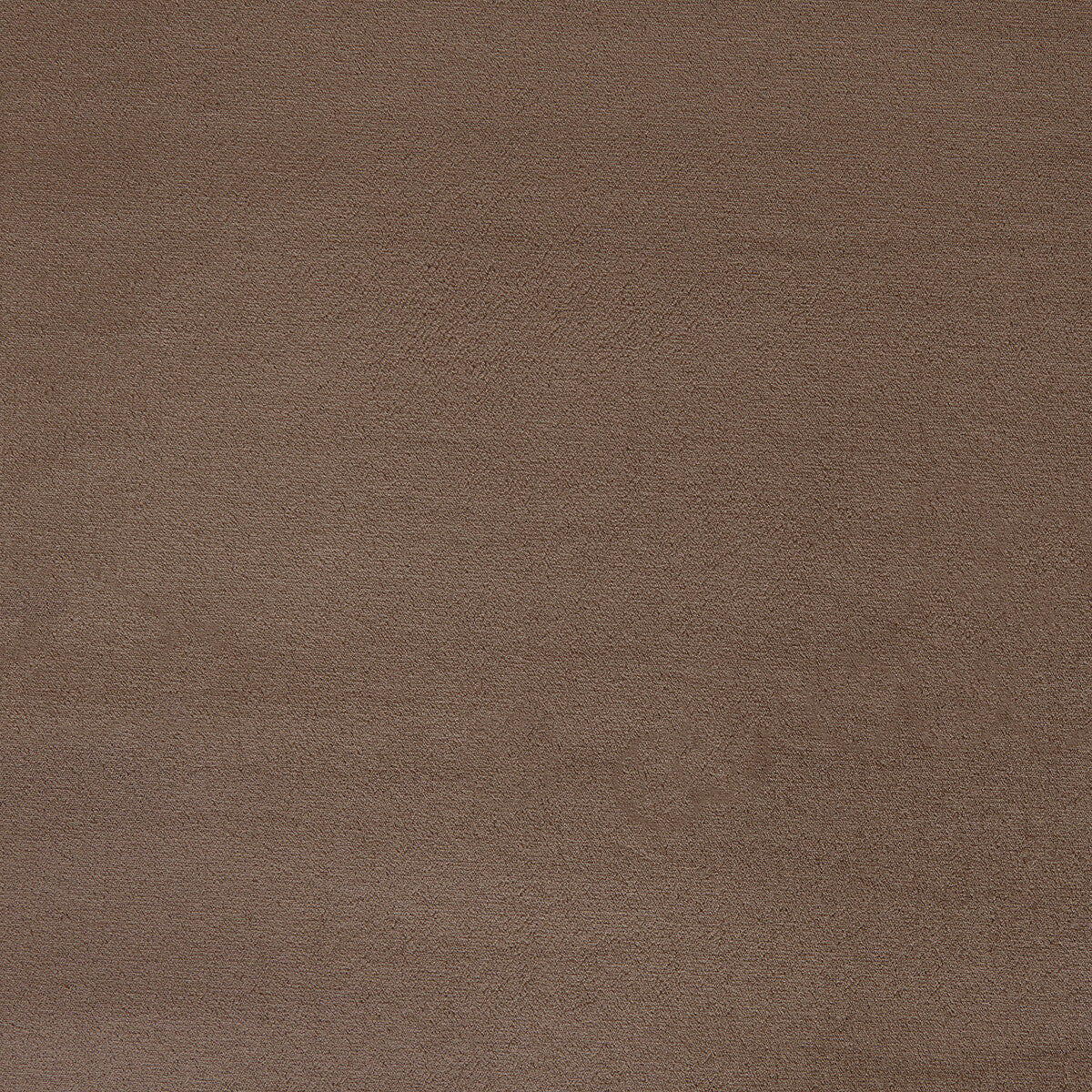 Donghia Moonlight Fossil Fabric Sample 6025113.1611.0