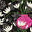 JF Fabrics 6025 98 Wallpaper 5868698