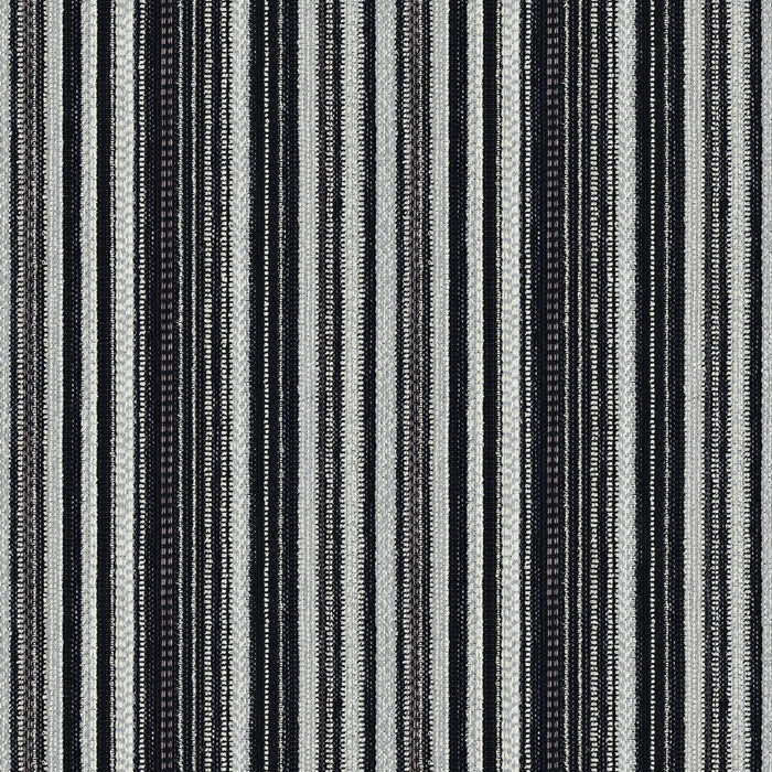 Donghia Windswept Nero Fabric 6026105.811.0