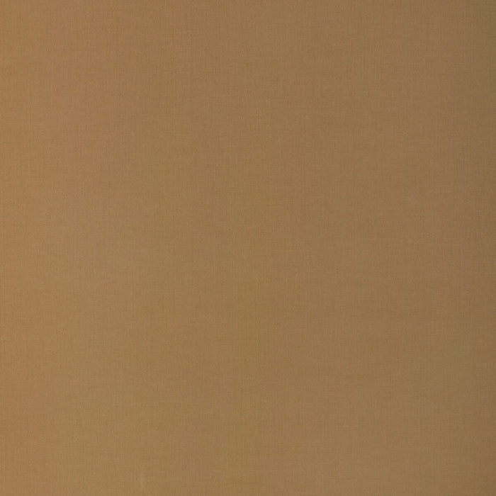 Donghia Savvy Straw Fabric 6026110.116.0