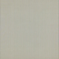 Schumacher Charee Silk Stripe Black & White Fabric 60920