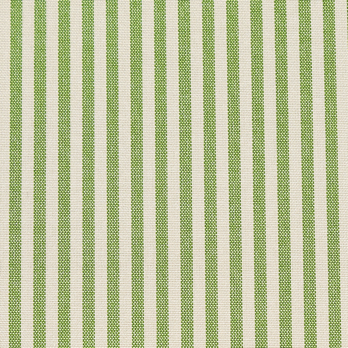 Schumacher Charee Silk Stripe Green Fabric Sample 60925