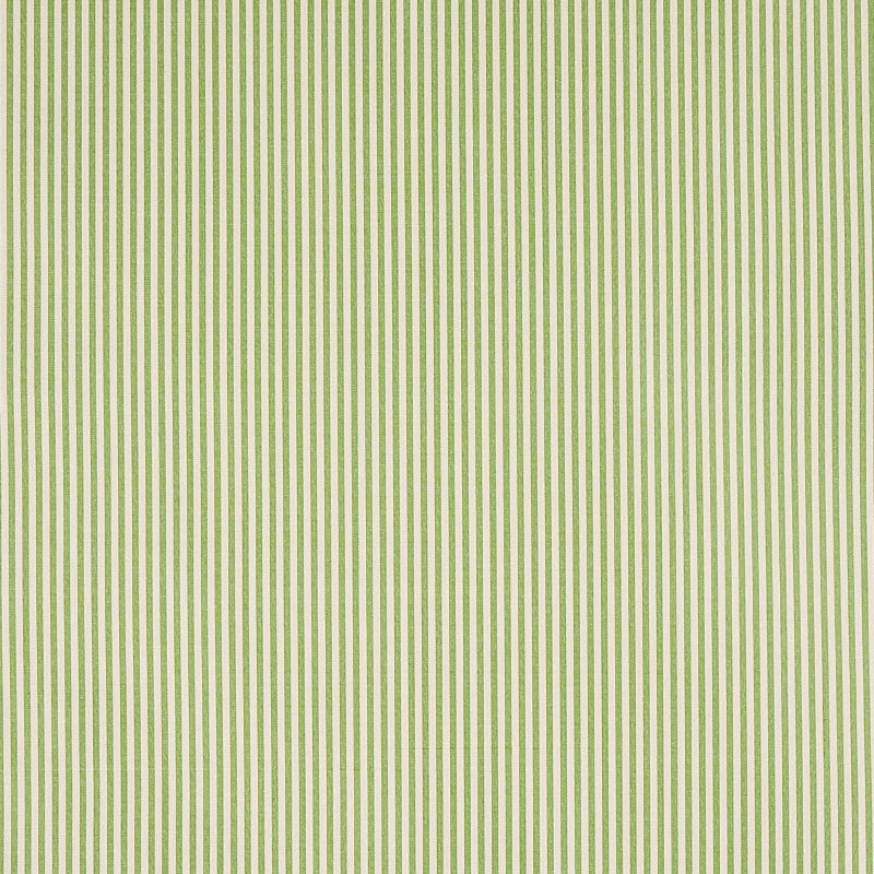 Schumacher Charee Silk Stripe Green Fabric Sample 60925