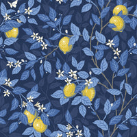 Schumacher Citrontrad Midnight And Yellow Wallpaper 6151