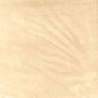 Schumacher Venetian Silk Velvet Doeskin Fabric 62731