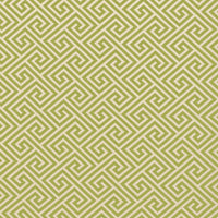 Schumacher St. Tropez Indoor/Outdoor Avocado Fabric 62904