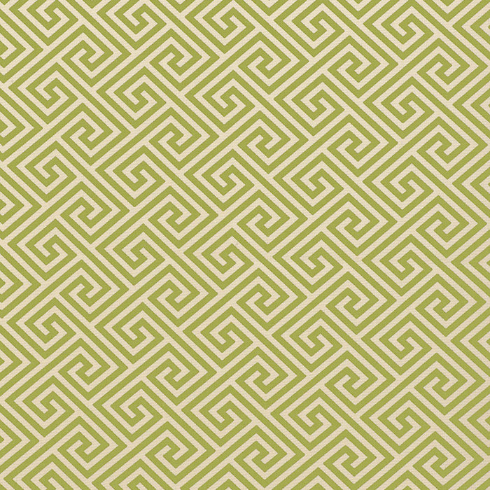 Schumacher St. Tropez Indoor/Outdoor Avocado Fabric 62904