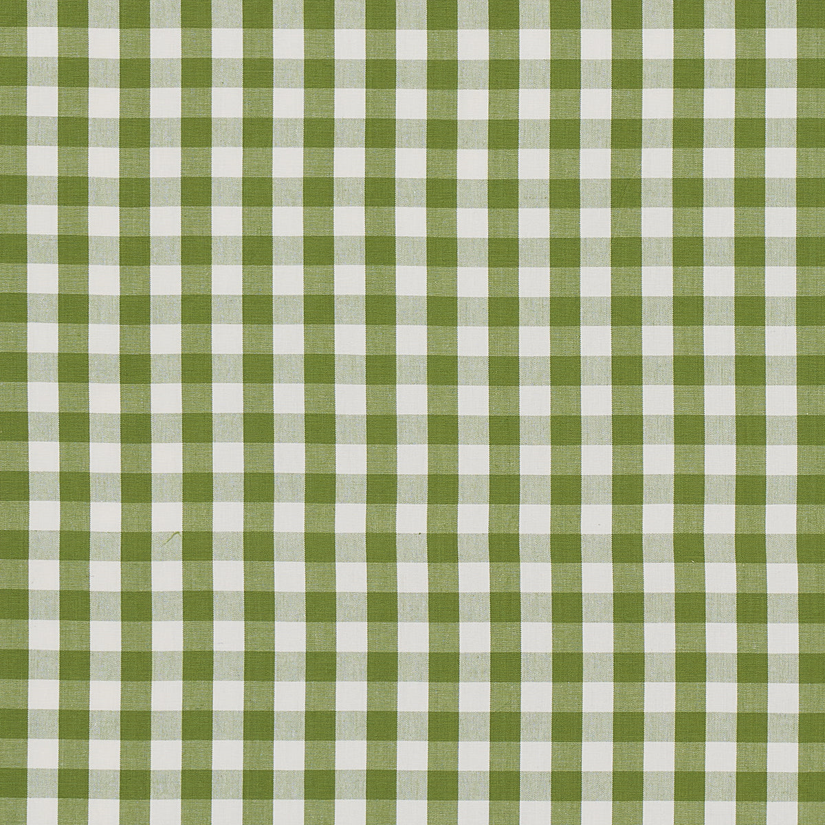 Schumacher Elton Cotton Check Leaf Fabric 63071